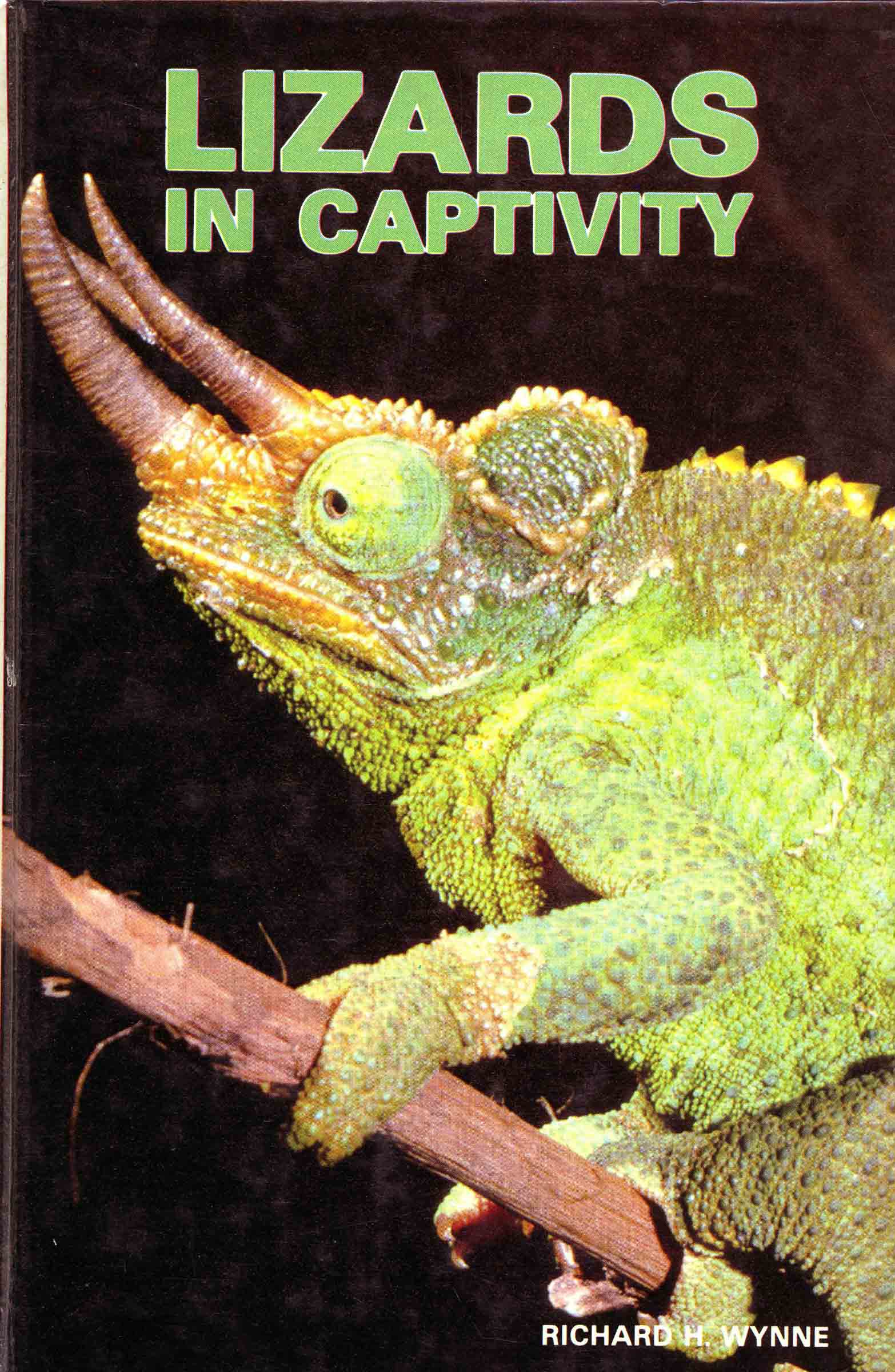 Image for Lizards in Captivity,